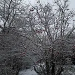 Holiday Cottage Ferienhaus